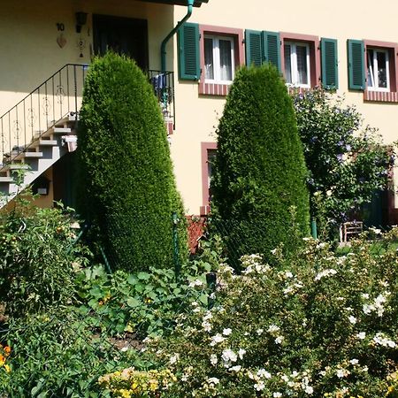 Dani'S Ferienwohnung Freiamt Zewnętrze zdjęcie